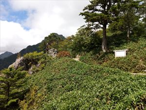 登りの写真 2